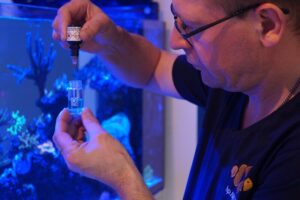 Wasserwerte - Wassertests im Aquarium