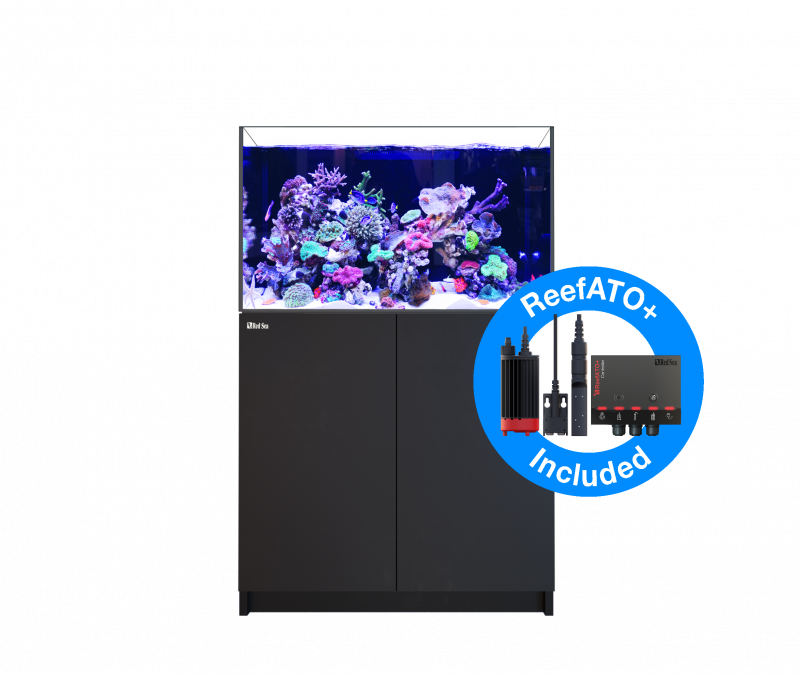 Kaufen Sie Red Sea Meerwasseraquarien | HP Aquaristik - HP Aquaristik