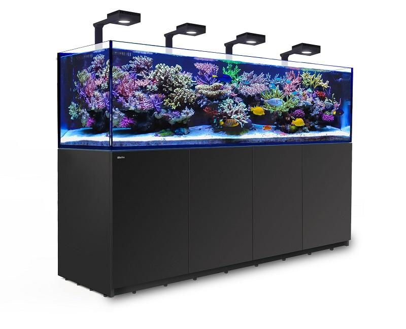 Red Sea Reefer 3 Xl 900 Deluxe Meerwasseraquarium Komplettset Kaufen Hp Aquaristik