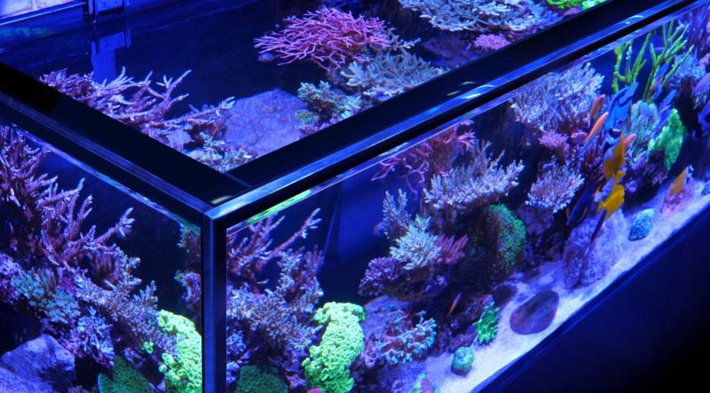 Red Sea Reefer S 1000 G2+ Deluxe