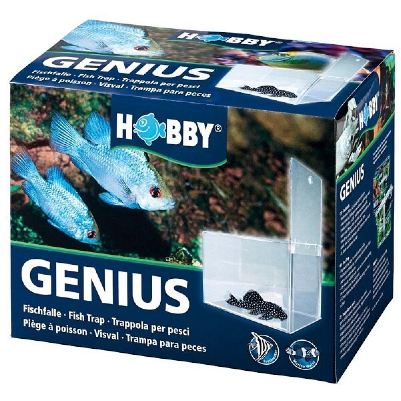 HOBBY Genius Fischfalle