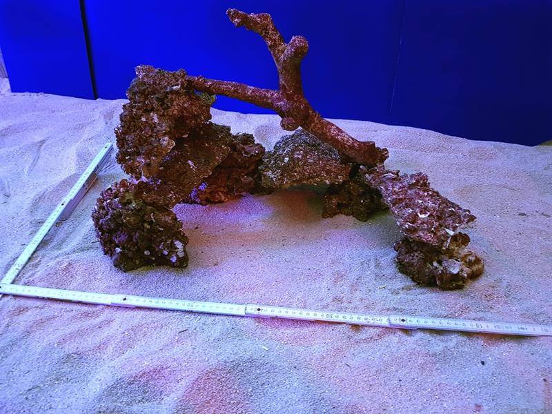 Exclusiv Real Reef Rock MIX SET passend für Ihr Aquarium