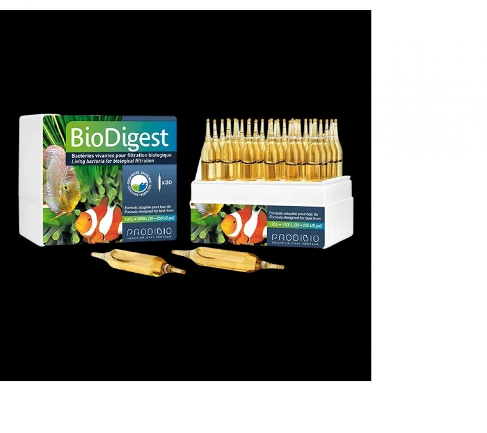 BioDigest PRO 10 (bactéries) de Prodibio